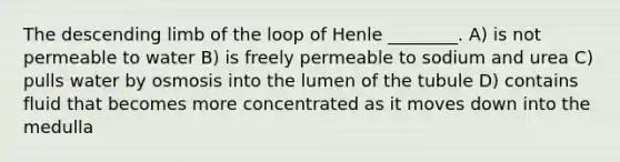 The descending limb of the loop of Henle ________. A) is not permeable to water B) is freely permeable to sodium and urea C) pulls water by osmosis into the lumen of the tubule D) contains fluid that becomes more concentrated as it moves down into the medulla