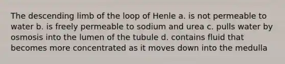 The descending limb of the loop of Henle a. is not permeable to water b. is freely permeable to sodium and urea c. pulls water by osmosis into the lumen of the tubule d. contains fluid that becomes more concentrated as it moves down into the medulla