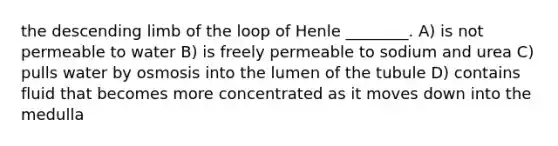 the descending limb of the loop of Henle ________. A) is not permeable to water B) is freely permeable to sodium and urea C) pulls water by osmosis into the lumen of the tubule D) contains fluid that becomes more concentrated as it moves down into the medulla