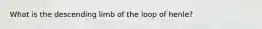 What is the descending limb of the loop of henle?