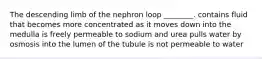 The descending limb of the nephron loop ________. contains fluid that becomes more concentrated as it moves down into the medulla is freely permeable to sodium and urea pulls water by osmosis into the lumen of the tubule is not permeable to water