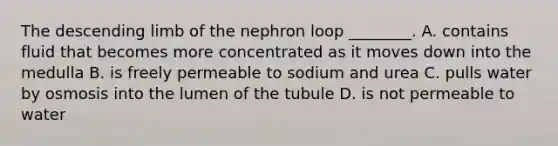 The descending limb of the nephron loop ________. A. contains fluid that becomes more concentrated as it moves down into the medulla B. is freely permeable to sodium and urea C. pulls water by osmosis into the lumen of the tubule D. is not permeable to water