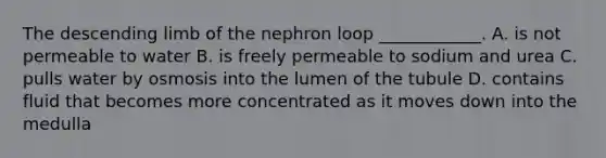 The descending limb of the nephron loop ____________. A. is not permeable to water B. is freely permeable to sodium and urea C. pulls water by osmosis into the lumen of the tubule D. contains fluid that becomes more concentrated as it moves down into the medulla