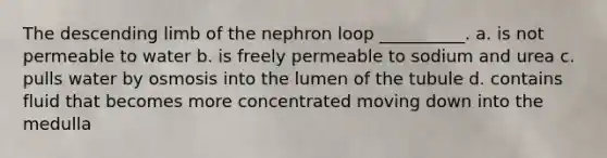 The descending limb of the nephron loop __________. a. is not permeable to water b. is freely permeable to sodium and urea c. pulls water by osmosis into the lumen of the tubule d. contains fluid that becomes more concentrated moving down into the medulla