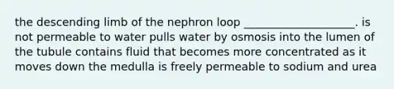 the descending limb of the nephron loop ____________________. is not permeable to water pulls water by osmosis into the lumen of the tubule contains fluid that becomes more concentrated as it moves down the medulla is freely permeable to sodium and urea