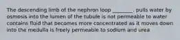 The descending limb of the nephron loop ________. pulls water by osmosis into the lumen of the tubule is not permeable to water contains fluid that becomes more concentrated as it moves down into the medulla is freely permeable to sodium and urea