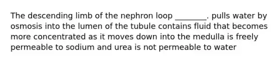 The descending limb of the nephron loop ________. pulls water by osmosis into the lumen of the tubule contains fluid that becomes more concentrated as it moves down into the medulla is freely permeable to sodium and urea is not permeable to water