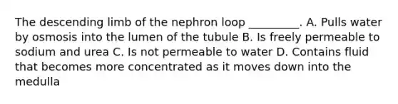 The descending limb of the nephron loop _________. A. Pulls water by osmosis into the lumen of the tubule B. Is freely permeable to sodium and urea C. Is not permeable to water D. Contains fluid that becomes more concentrated as it moves down into the medulla