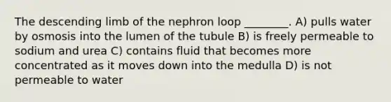 The descending limb of the nephron loop ________. A) pulls water by osmosis into the lumen of the tubule B) is freely permeable to sodium and urea C) contains fluid that becomes more concentrated as it moves down into the medulla D) is not permeable to water