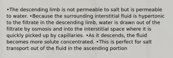 •The descending limb is not permeable to salt but is permeable to water. •Because the surrounding interstitial fluid is hypertonic to the filtrate in the descending limb, water is drawn out of the filtrate by osmosis and into the interstitial space where it is quickly picked up by capillaries. •As it descends, the fluid becomes more solute concentrated. •This is perfect for salt transport out of the fluid in the ascending portion