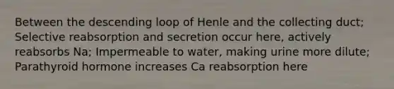 Between the descending loop of Henle and the collecting duct; Selective reabsorption and secretion occur here, actively reabsorbs Na; Impermeable to water, making urine more dilute; Parathyroid hormone increases Ca reabsorption here