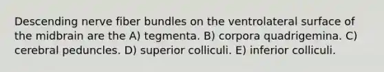 Descending nerve fiber bundles on the ventrolateral surface of the midbrain are the A) tegmenta. B) corpora quadrigemina. C) cerebral peduncles. D) superior colliculi. E) inferior colliculi.