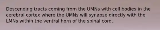 Descending tracts coming from the UMNs with cell bodies in the cerebral cortex where the UMNs will synapse directly with the LMNs within the ventral horn of the spinal cord.