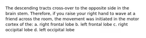 The descending tracts cross-over to the opposite side in the brain stem. Therefore, if you raise your right hand to wave at a friend across the room, the movement was initiated in the motor cortex of the: a. right frontal lobe b. left frontal lobe c. right occipital lobe d. left occipital lobe