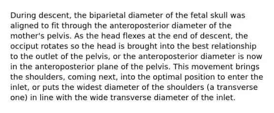 During descent, the biparietal diameter of the fetal skull was aligned to fit through the anteroposterior diameter of the mother's pelvis. As the head flexes at the end of descent, the occiput rotates so the head is brought into the best relationship to the outlet of the pelvis, or the anteroposterior diameter is now in the anteroposterior plane of the pelvis. This movement brings the shoulders, coming next, into the optimal position to enter the inlet, or puts the widest diameter of the shoulders (a transverse one) in line with the wide transverse diameter of the inlet.