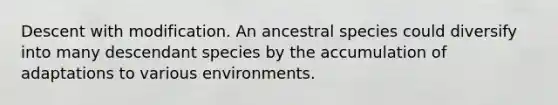 Descent with modification. An ancestral species could diversify into many descendant species by the accumulation of adaptations to various environments.