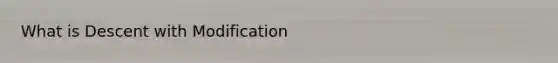 What is Descent with Modification