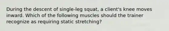 During the descent of single-leg squat, a client's knee moves inward. Which of the following muscles should the trainer recognize as requiring static stretching?