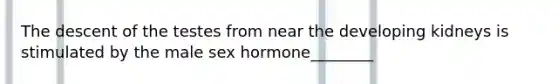 The descent of the testes from near the developing kidneys is stimulated by the male sex hormone________