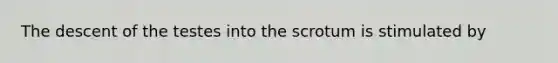 The descent of the testes into the scrotum is stimulated by