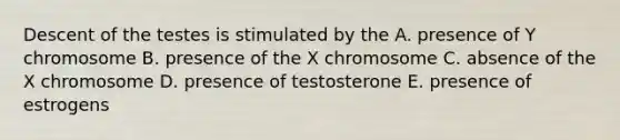 Descent of the testes is stimulated by the A. presence of Y chromosome B. presence of the X chromosome C. absence of the X chromosome D. presence of testosterone E. presence of estrogens