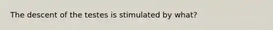 The descent of the testes is stimulated by what?