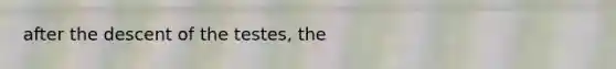 after the descent of the testes, the