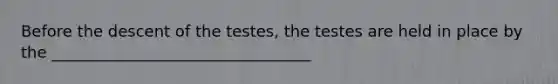 Before the descent of the testes, the testes are held in place by the _________________________________