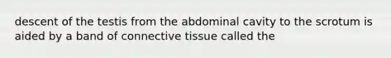 descent of the testis from the abdominal cavity to the scrotum is aided by a band of connective tissue called the