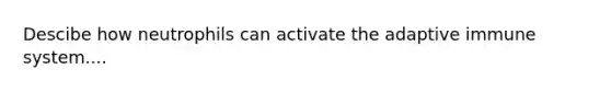 Descibe how neutrophils can activate the adaptive immune system....