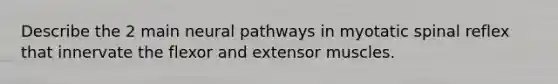 Describe the 2 main neural pathways in myotatic spinal reflex that innervate the flexor and extensor muscles.