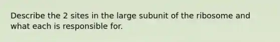 Describe the 2 sites in the large subunit of the ribosome and what each is responsible for.