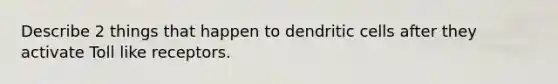 Describe 2 things that happen to dendritic cells after they activate Toll like receptors.