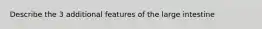 Describe the 3 additional features of the large intestine