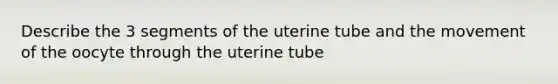 Describe the 3 segments of the uterine tube and the movement of the oocyte through the uterine tube