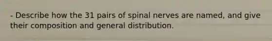 - Describe how the 31 pairs of spinal nerves are named, and give their composition and general distribution.