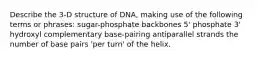 Describe the 3-D structure of DNA, making use of the following terms or phrases: sugar-phosphate backbones 5' phosphate 3' hydroxyl complementary base-pairing antiparallel strands the number of base pairs 'per turn' of the helix.