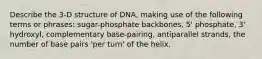 Describe the 3-D structure of DNA, making use of the following terms or phrases: sugar-phosphate backbones, 5' phosphate, 3' hydroxyl, complementary base-pairing, antiparallel strands, the number of base pairs 'per turn' of the helix.