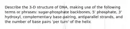 Describe the 3-D structure of DNA, making use of the following terms or phrases: sugar-phosphate backbones, 5' phosphate, 3' hydroxyl, complementary base-pairing, antiparallel strands, and the number of base pairs 'per turn' of the helix.