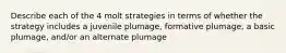 Describe each of the 4 molt strategies in terms of whether the strategy includes a juvenile plumage, formative plumage, a basic plumage, and/or an alternate plumage