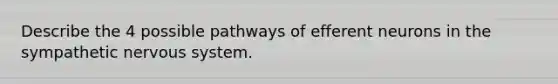 Describe the 4 possible pathways of efferent neurons in the sympathetic nervous system.