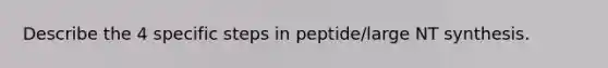 Describe the 4 specific steps in peptide/large NT synthesis.