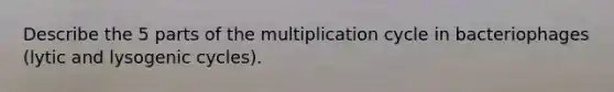 Describe the 5 parts of the multiplication cycle in bacteriophages (lytic and lysogenic cycles).