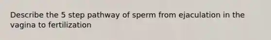 Describe the 5 step pathway of sperm from ejaculation in the vagina to fertilization