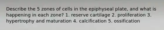 Describe the 5 zones of cells in the epiphyseal plate, and what is happening in each zone? 1. reserve cartilage 2. proliferation 3. hypertrophy and maturation 4. calcification 5. ossification