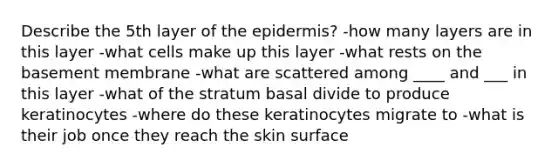 Describe the 5th layer of the epidermis? -how many layers are in this layer -what cells make up this layer -what rests on the basement membrane -what are scattered among ____ and ___ in this layer -what of the stratum basal divide to produce keratinocytes -where do these keratinocytes migrate to -what is their job once they reach the skin surface