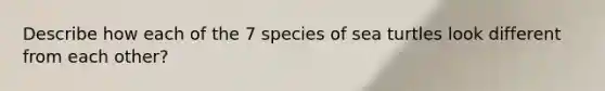 Describe how each of the 7 species of sea turtles look different from each other?