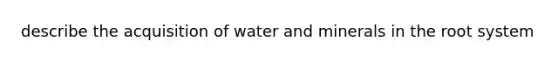 describe the acquisition of water and minerals in the root system