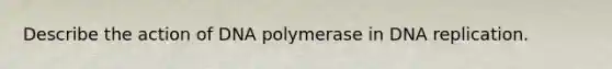 Describe the action of DNA polymerase in DNA replication.​