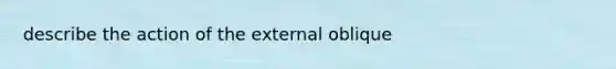 describe the action of the external oblique